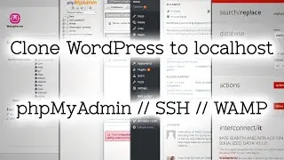 Clone Public WordPress Website to WAMP localhost (No Plugins)