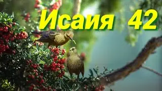 пророк Исайя (глава 42)