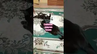 Смешная озвучка. (Comedy Woman) 