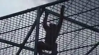 Энергичные игры :)