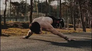 Callisthenics vibe ##motivation #recommended #streetworkout #workaut #amazing #sports