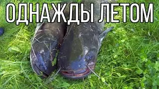 Однажды летом. Две ночи на острове. Ловля сома на перемет. Отдых на острове семьями.