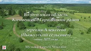 Деревня Алексеево (Пыжугский сельсовет, Кичменгско-Городецкий район)
