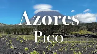 Azores - Pico