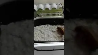 Рождественская кутья (овёс , ячмень ... КУСКУС)