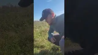 ЁБ ТВОЮ, ГЛЕБ (ПОЛНАЯ ВЕРСИЯ)