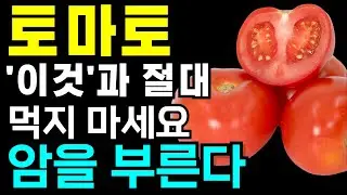 토마토와 절대로 같이 먹지 마세요! 당뇨에 걸리고 암에 걸릴 수 있습니다! 토마토와 같이 먹으면 독이 되는 음식 3가지와 보약이 되는 음식 3가지 토마토효능 건강식품 여름건강