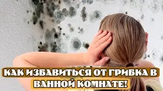 Ремонт➤Как избавиться от грибка в ванной комнате!➤Грибок на плитке