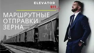 Маршрутные отгрузки зерна. Маршрут. Вагоны зерновозы.