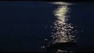 SeaStars (Silver Edit)