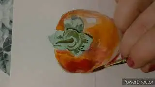 Хурма. Акварельный этюд