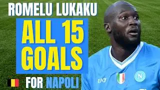 Romelu Lukaku - ALL 15 GOALS FOR NAPOLI So Far 2024-26 | Skills & Highlights
