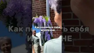 КАК полюбить себя ИСКРЕННЕ? #энергокоуч #саморазвитие #любовьксебе