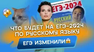 ЕГЭ по русскому языку изменили I Что будет на ЕГЭ-2024 по русскому I Разбор демоверсии ЕГЭ-2024