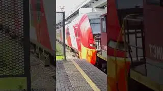 ТЭМ18ДМ-1934 с ЭС1П-041 едут на Восточный вокзал #ржд #поезда #train