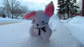 Cute Mowse Is Fweezing COLD! Pweese Help!?