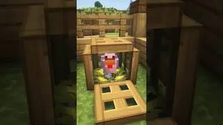 Minecraft Chicken Trick🐔 #shorts
