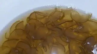 ГРУШЕВОЕ ВАРЕНЬЕ .ЗИМОЙ ЗА УШИ НЕ ОТТЯНЕШЬ