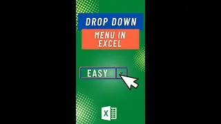 Create a Drop Down Menu in Excel 
