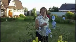 Почему моя подруга Ирина носит магнитный браслет
