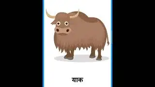 जंगली जानवरों का नाम