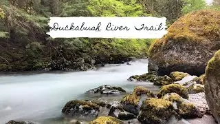 Backpacking Duckabush River Trail in the Olympic National Forest
