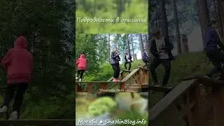 #Москва #ушу #кунгфу #цигун #цигунДляНачинающих #shorts