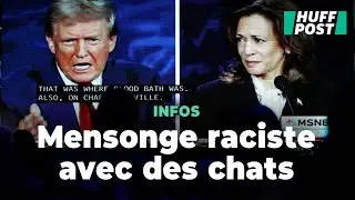 Donald Trump, face à Kamala Harris, s’approprie cette accusation raciste de son camp sur les chats