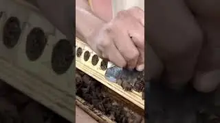 Unbelievable Satisfying Cigar Art  💯