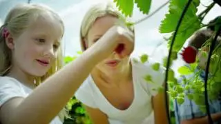Redefining American Agriculture for the 21st Century