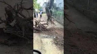 🚜 Думаешь, сила решает всё? Как не сломать экскаватор🌳