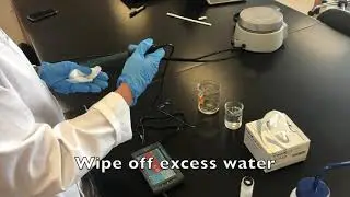 pH Measurement Demonstration