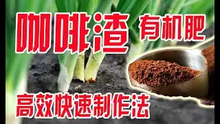 咖啡渣做有機肥營養又驅蟲, 咖啡渣對種菜的應用, 註意事項,咖啡渣有機肥製作 How to use coffee grounds properly in the garden, fertilizers