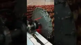 МЕГА ШАШЛЫК!!!