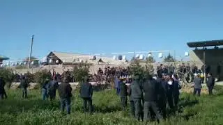 бедана сайли 2022 30 март