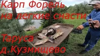 Рыбалка на платном пруду. карп, карась.
