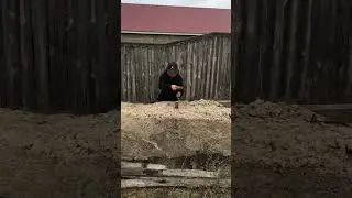 Влепи лайк По-братски❤️‍🩹￼