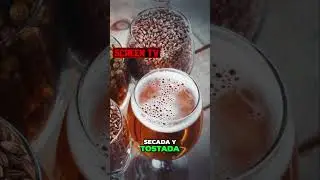 Qué es la cerveza   #curiosidades #cerveza