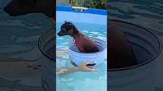 Титаник..новая версия 🤣