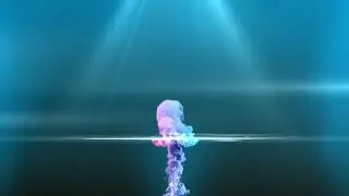 INTRO