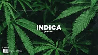 Dancehall Riddim Instrumental 2019 ~ 