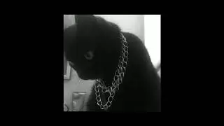 [FREE] Freestyle Type Beat - 