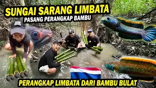 BAMBOO TRAP FOR LIMBATA? INSTALL AT CHANNA LIMBATA MARKAS DISUNGAI