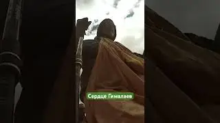 Сердце Гималаев #гималаи #travel