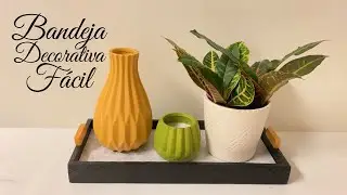PRECIOSA IDEA RECICLANDO UN CUADRO VIEJO /DIY BANDEJA DECORATIVA RECICLADA MUY FÁCIL