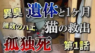 【孤独死】※閲覧注意　遺体と1ヶ月とり残された猫達のレスキュー  第1話 ：７１１