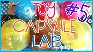 [Toy Capsule Lab #5] Neko Atsume, Yo-kai Watch, Pom Pom Purin, Nameko, Gudetama GASHAPON!