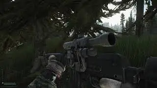 Wild forest of Tarkov #1