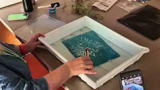 Phyllis Schwartz's Cyanotype workshop at MISSA 2023