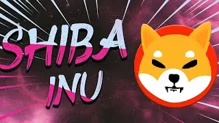 Comprendre le portail burn du shiba